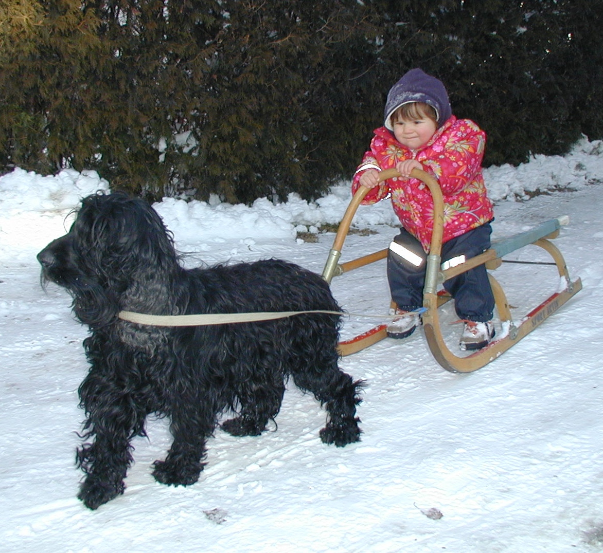 Fit im Winter