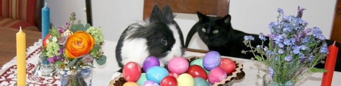 Tierarzt Entner wünscht frohe Ostern!
