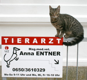 Tierarzt Entner in Judendorf bei Graz