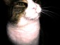 Bild des Benutzers tigga